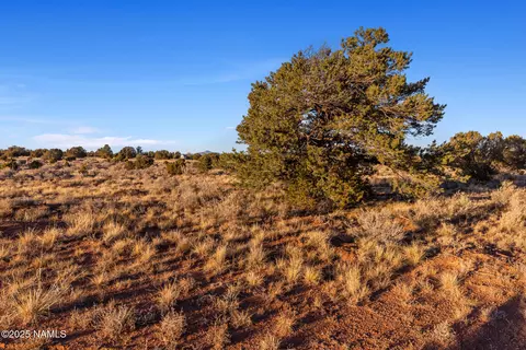 4373 E Cedar Rd, Williams, AZ 86046 photo 10