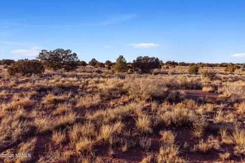 4373 E Cedar Rd, Williams, AZ 86046 photo 6