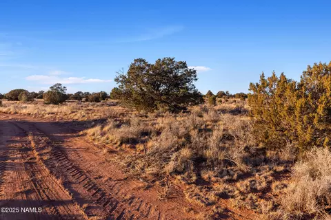 4373 E Cedar Rd, Williams, AZ 86046 photo 8