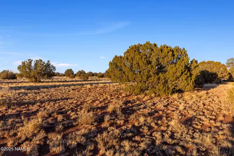 4373 E Cedar Rd, Williams, AZ 86046 photo 13