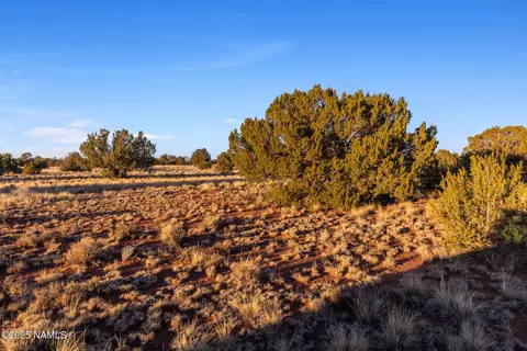 4373 E Cedar Rd, Williams, AZ 86046 photo 12