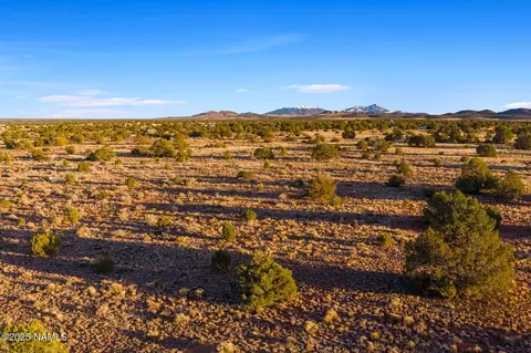 4373 E Cedar Rd, Williams, AZ 86046 photo 19