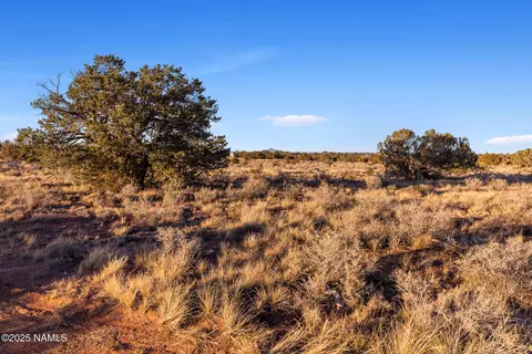 4373 E Cedar Rd, Williams, AZ 86046 photo 4
