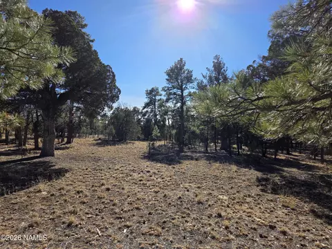 4302 Timberline Dr, Happy Jack, AZ 86024
