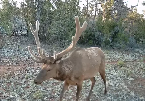 lot186 B Bull Run Rd, Williams, AZ 86046