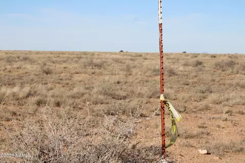 000 Pinto Rd, Winslow, AZ 86047 photo 6