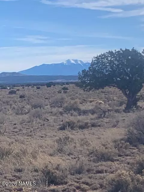 1546 E Pine Rd, Williams, AZ 86046
