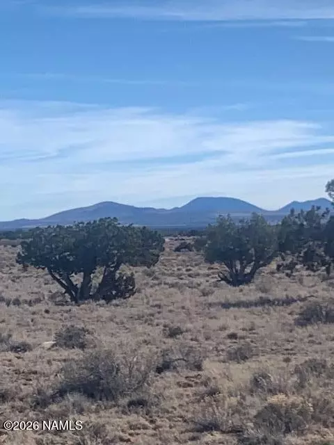 1548 E Mission Dr, Williams, AZ 86046