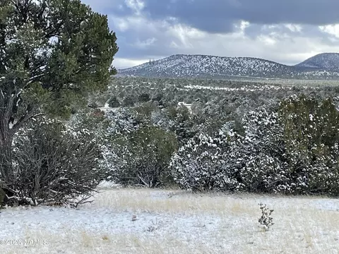 13537 Bly Station Rd, Williams, AZ 86046