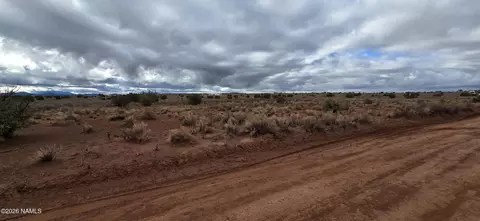 1880 E Pine Rd #LOT 1B, Williams, AZ 86046 photo 4