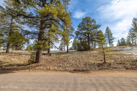 378 S Fourth St, Flagstaff, AZ 86004