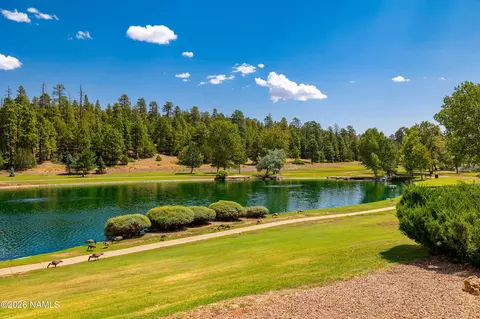 View/Area - 6130 E Laurel Loop, Flagstaff, AZ 86004 photo 9 of 13