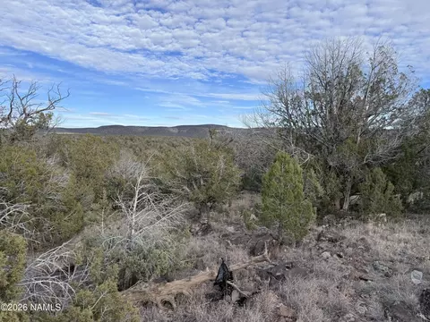 20615004 Terry Ln, Williams, AZ 86046