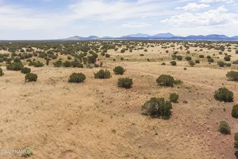 3625 E Valencia Rd, Williams, AZ 86046 photo 3