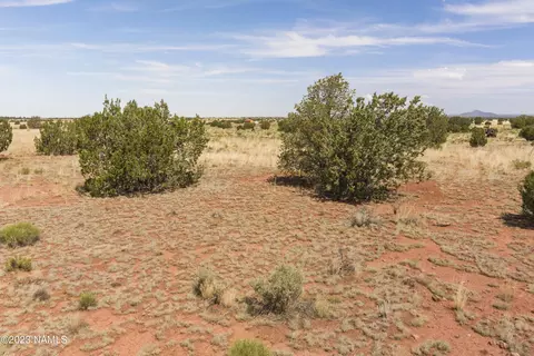 3625 E Valencia Rd, Williams, AZ 86046 photo 16