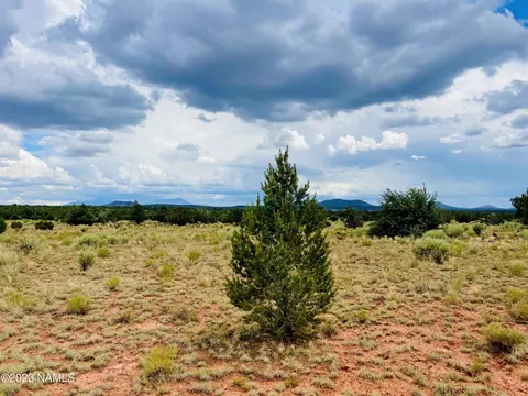 Nnnn Lasso Loop #C, Williams, AZ 86046 photo 2