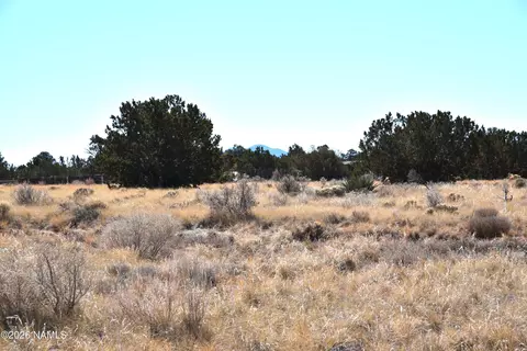 3473 S Noble Dr, Williams, AZ 86046 photo 5