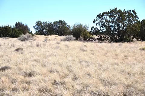 3473 S Noble Dr, Williams, AZ 86046 photo 2