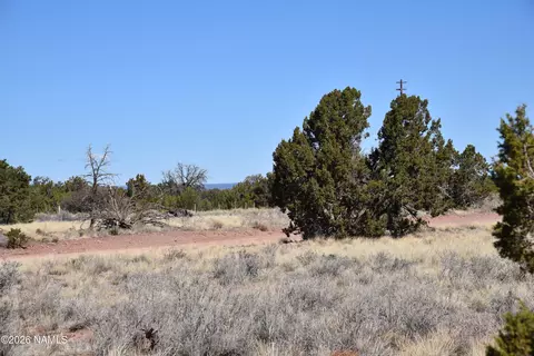 3473 S Noble Dr, Williams, AZ 86046 photo 6