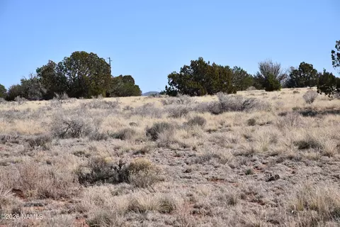 3473 S Noble Dr, Williams, AZ 86046 photo 3