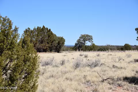 3473 S Noble Dr, Williams, AZ 86046 photo 9