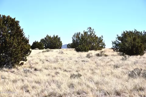 3473 S Noble Dr, Williams, AZ 86046 photo 7