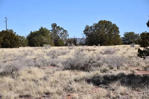3473 S Noble Dr, Williams, AZ 86046 photo 4