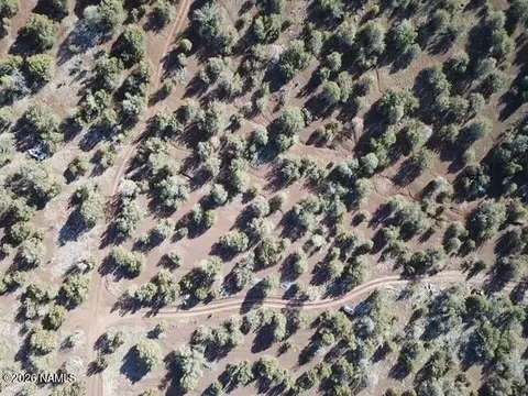 872 E Deerlick Trl, Williams, AZ 86046