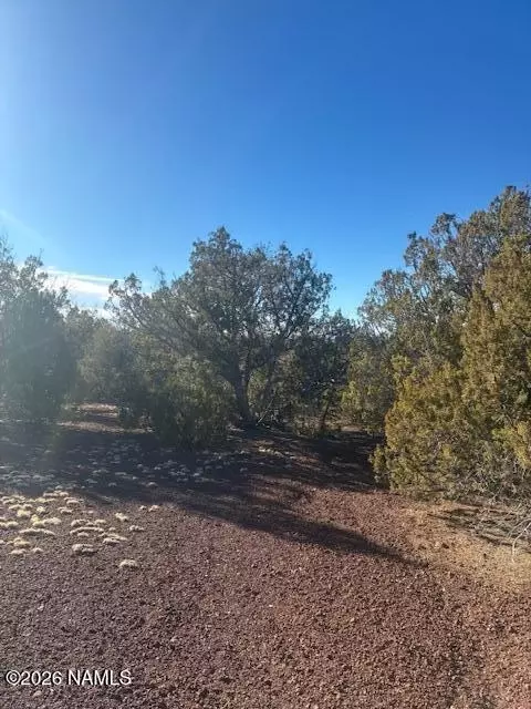 908 E Deerlick Trl, Williams, AZ 86046 photo 10