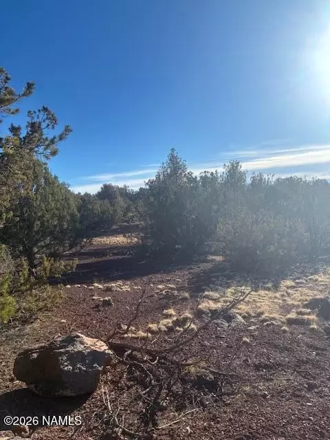 908 E Deerlick Trl, Williams, AZ 86046 photo 13