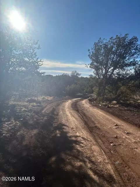 908 E Deerlick Trl, Williams, AZ 86046 photo 12