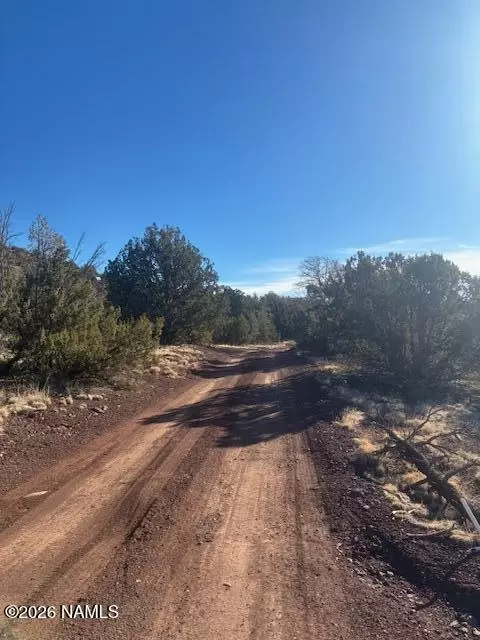 908 E Deerlick Trl, Williams, AZ 86046 photo 5