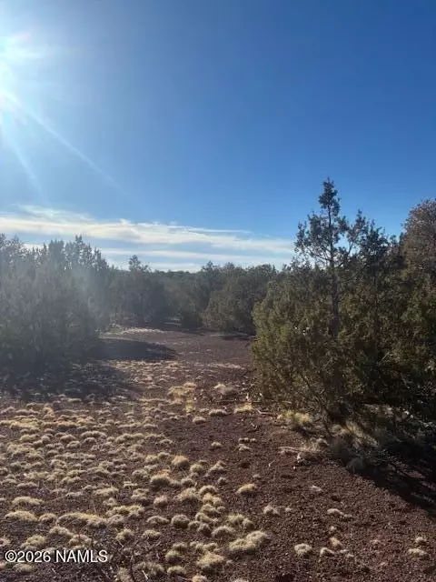908 E Deerlick Trl, Williams, AZ 86046 photo 7