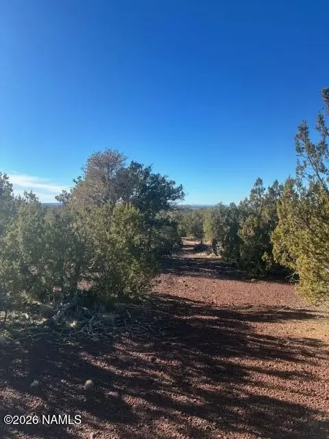 908 E Deerlick Trl, Williams, AZ 86046 photo 8
