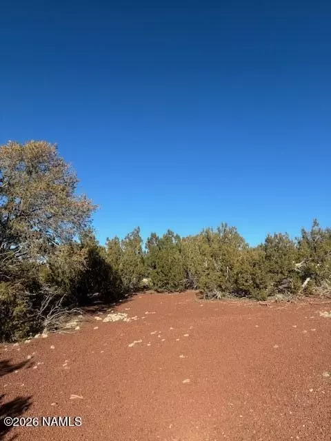 908 E Deerlick Trl, Williams, AZ 86046 photo 11