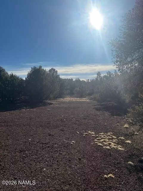908 E Deerlick Trl, Williams, AZ 86046 photo 9