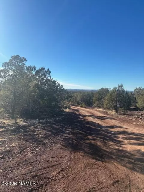 908 E Deerlick Trl, Williams, AZ 86046 photo 6