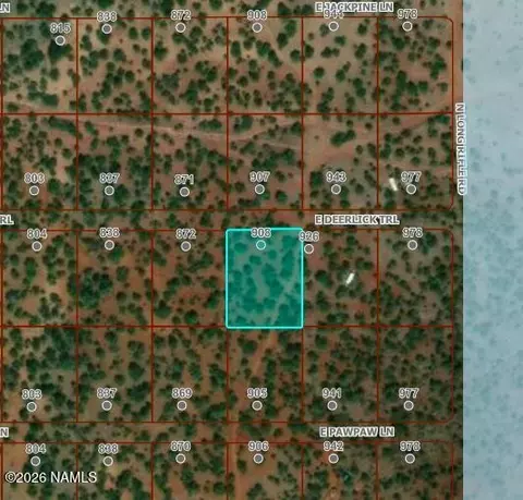 908 E Deerlick Trl, Williams, AZ 86046 photo 14