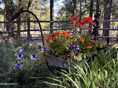 Exterior - 6161 E Olson Dr, Flagstaff, AZ 86004 photo 13 of 14