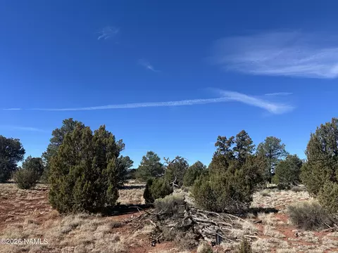 2816 S Spruce Rd, Williams, AZ 86046