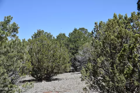 7590 Daisy Dr, Williams, AZ 86046 photo 13