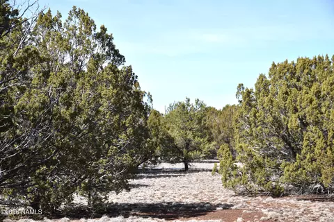 7590 Daisy Dr, Williams, AZ 86046 photo 2