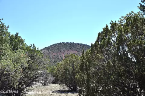 7590 Daisy Dr, Williams, AZ 86046 photo 12