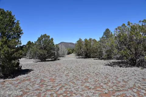 7590 Daisy Dr, Williams, AZ 86046 photo 14