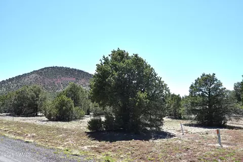 7590 Daisy Dr, Williams, AZ 86046 photo 8