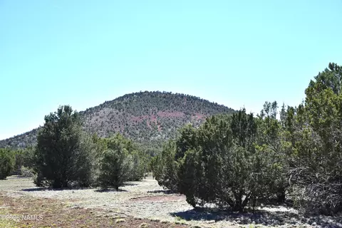 7590 Daisy Dr, Williams, AZ 86046 photo 9
