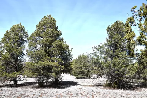 7590 Daisy Dr, Williams, AZ 86046