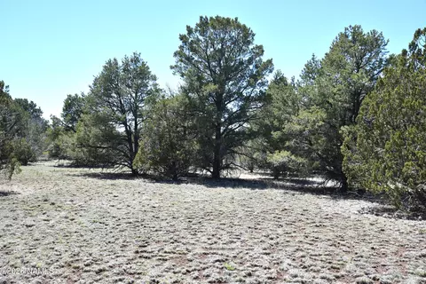 7590 Daisy Dr, Williams, AZ 86046 photo 11
