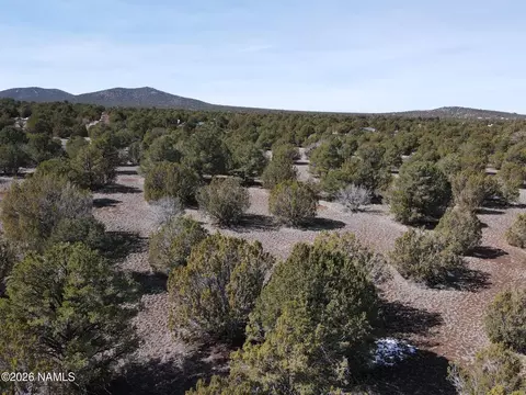 7590 Daisy Dr, Williams, AZ 86046 photo 5