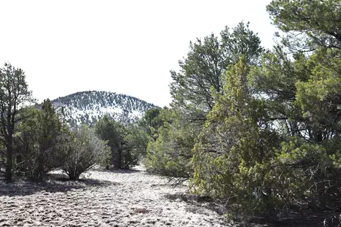 7590 Daisy Dr, Williams, AZ 86046